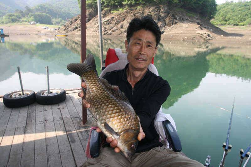충주호 문골4짜급 대물 모습 (조황조행기 - 특파원조황)