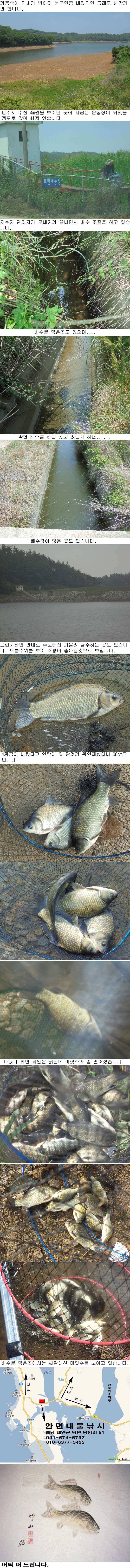 68 안면도권 저수지 씨알 마릿수 호조황 (조황조행기 - 특파원조황)
