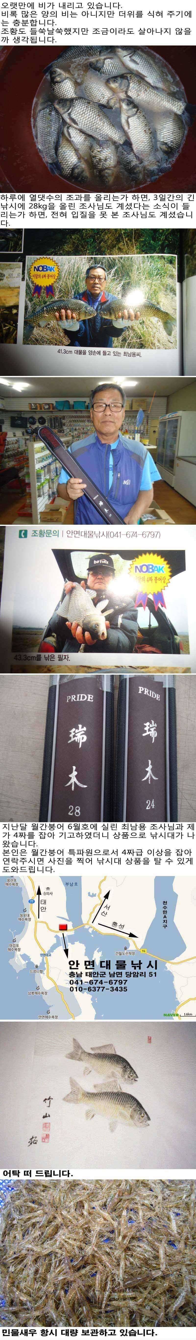 73 부남호 시원한 비가 내리는 주중 조황 (조황조행기 - 특파원조황)