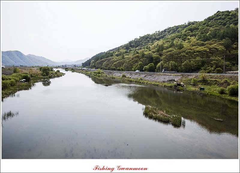 충주괴산권 조황 (조황조행기 - 특파원조황)