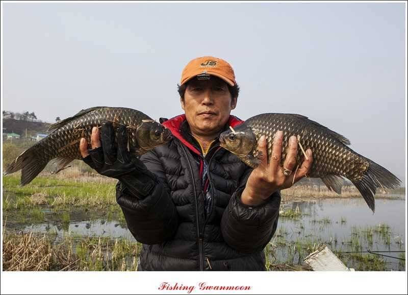 충주권 노지화곡지칠성지 대물들 (조황조행기 - 특파원조황)