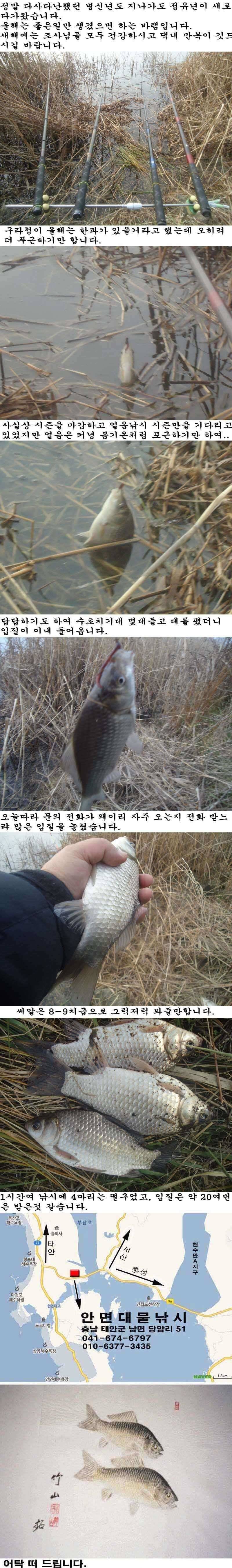 11 정유년 신년인사 겸 조황 (조황조행기 - 특파원조황)