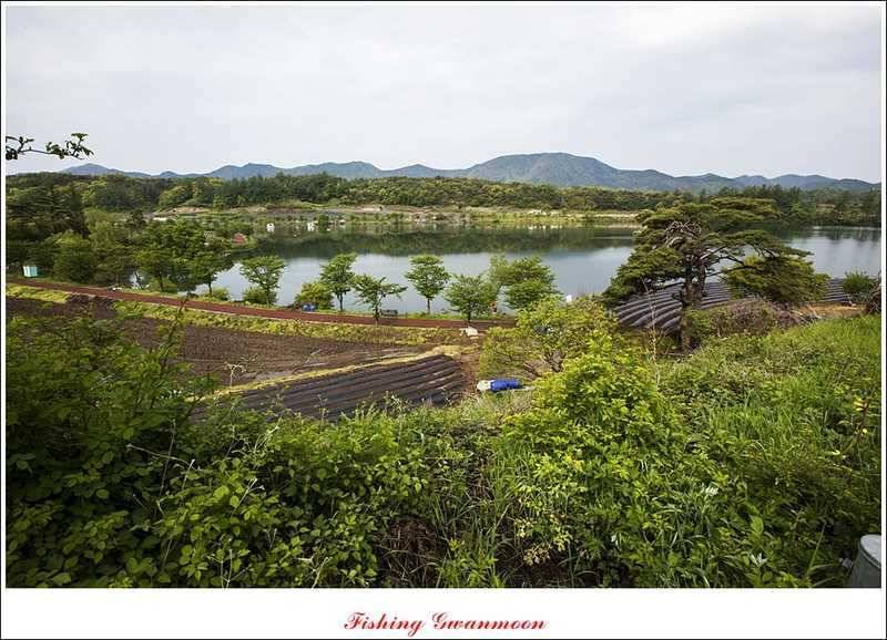 충주괴산권 조황 (조황조행기 - 특파원조황)