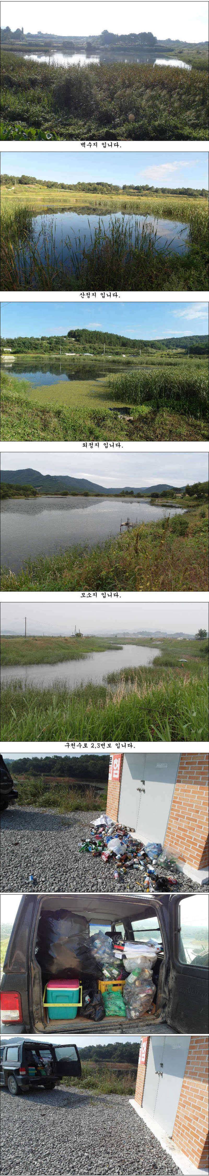 가을빛 고운 붕어들 (조황조행기 - 특파원조황)