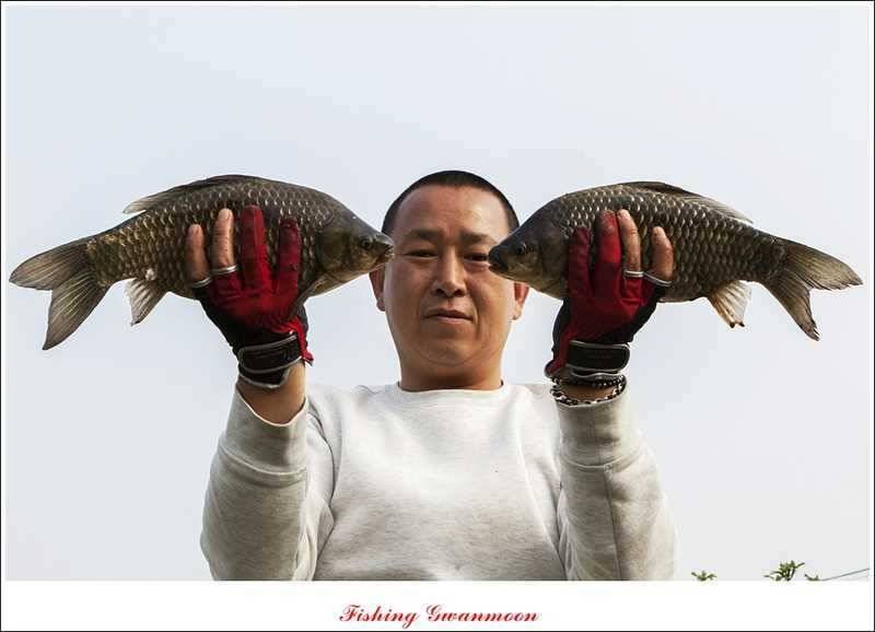 충주권 노지화곡지칠성지 대물들 (조황조행기 - 특파원조황)
