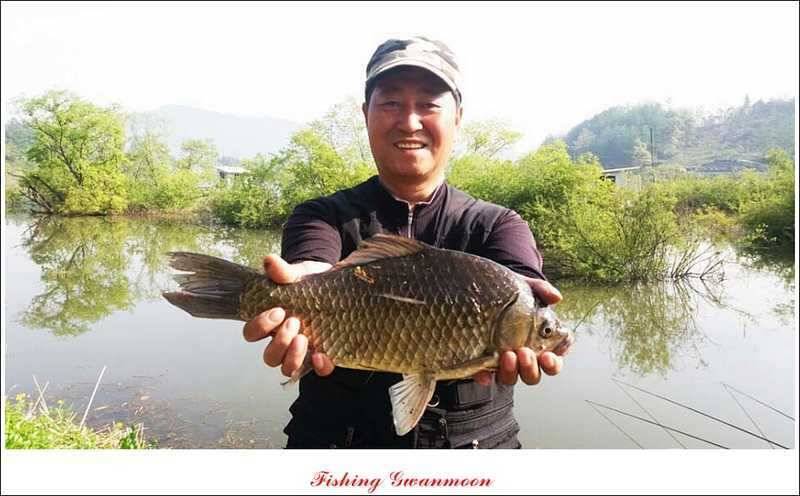 충주괴산권 조황 (조황조행기 - 특파원조황)