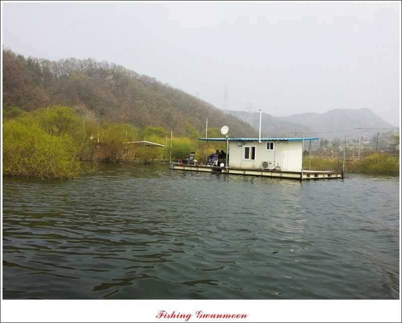 충주권 노지화곡지칠성지 대물들 (조황조행기 - 특파원조황)