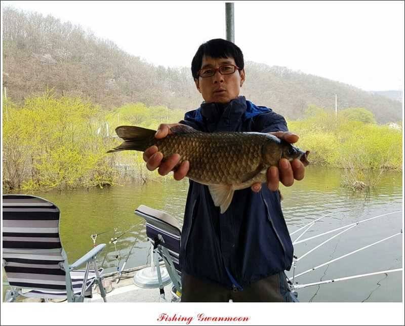 충주권 노지화곡지칠성지 대물들 (조황조행기 - 특파원조황)