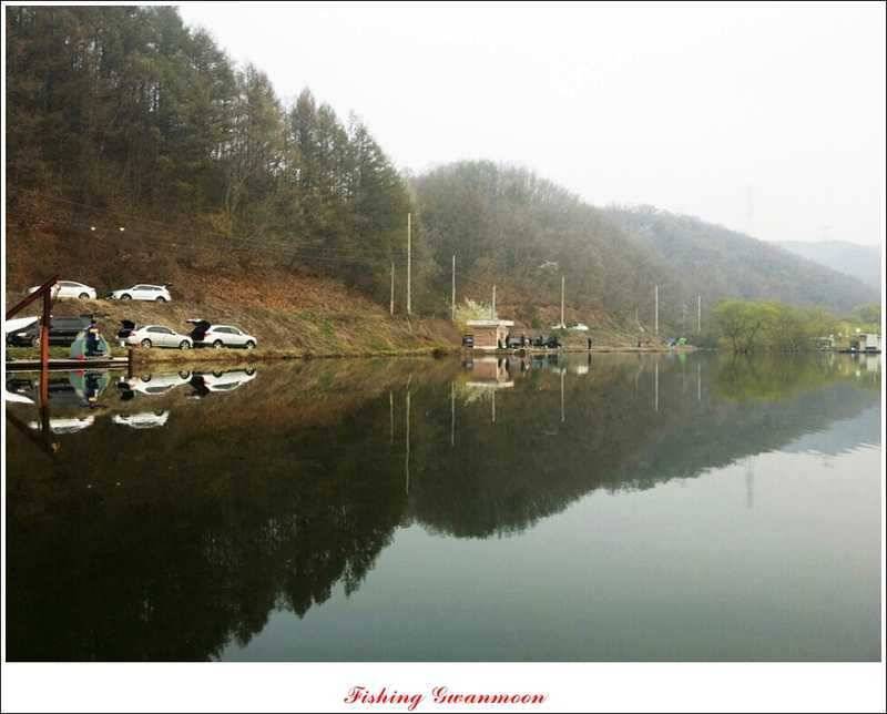 충주권 노지화곡지칠성지 대물들 (조황조행기 - 특파원조황)