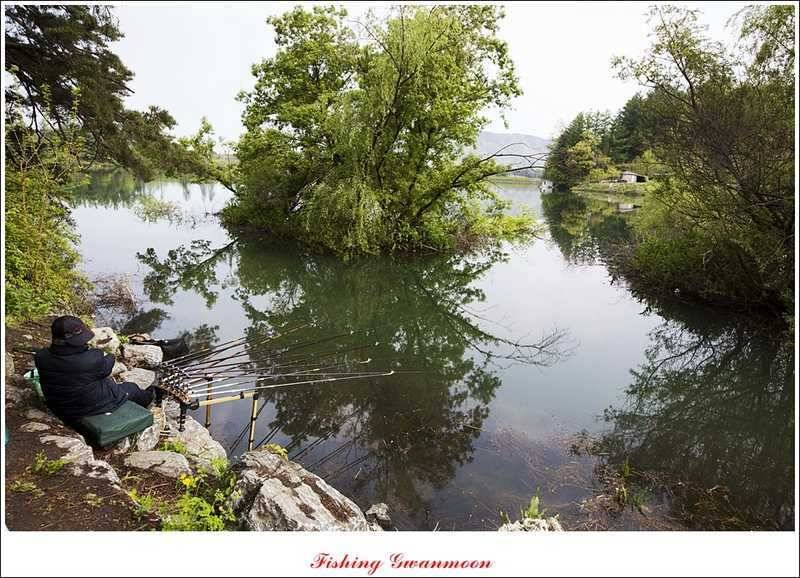 충주괴산권 조황 (조황조행기 - 특파원조황)
