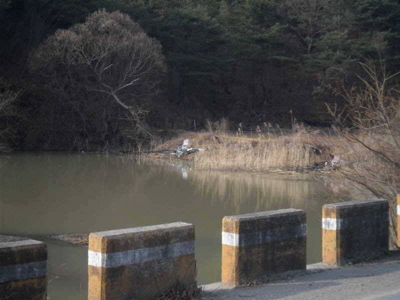 알자리 보러나온 붕어 (조황조행기 - 특파원조황)