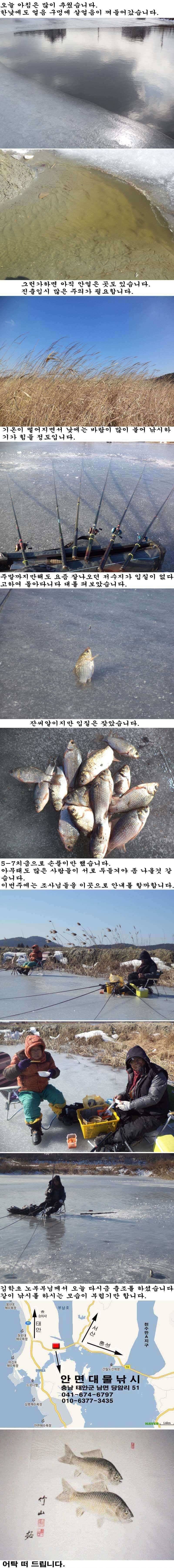 22 안면도권 저수지 마릿수만 조황 (조황조행기 - 특파원조황)