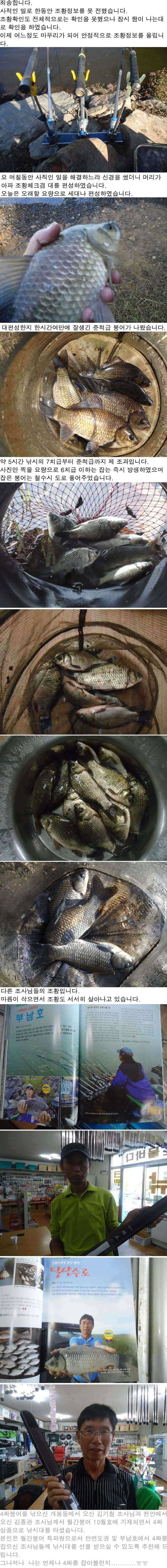 1023 안면도권 저수지 및 수로 주중 조황 (조황조행기 - 특파원조황)