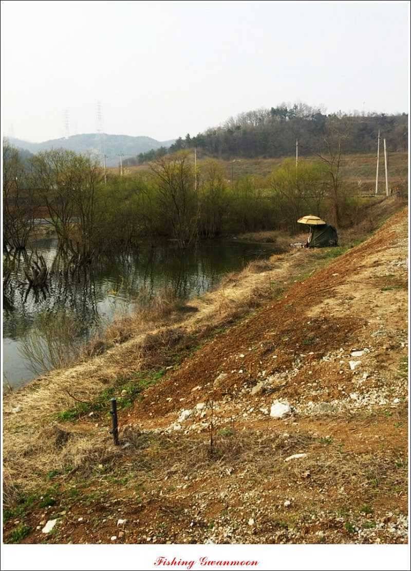 충주권 노지화곡지칠성지 대물들 (조황조행기 - 특파원조황)
