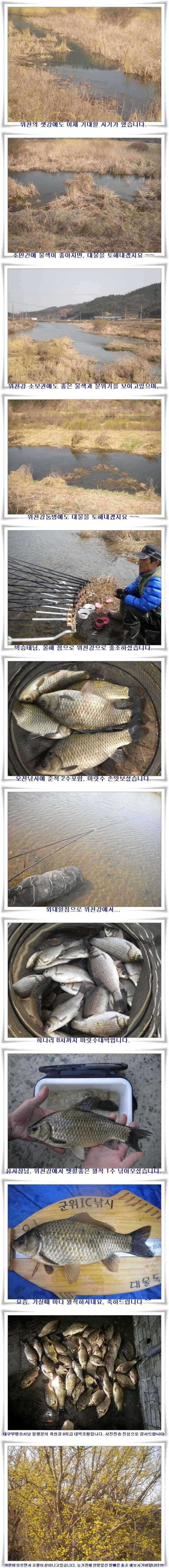 마릿수에 대물까지 (조황조행기 - 특파원조황)