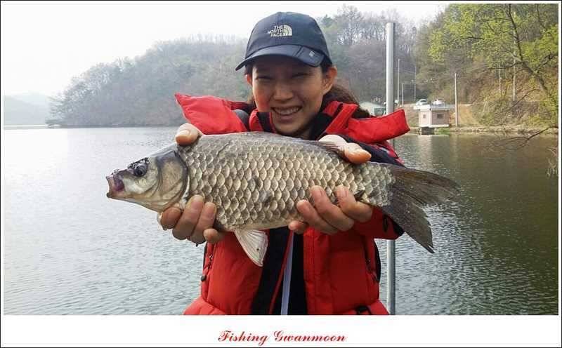 충주권 노지화곡지칠성지 대물들 (조황조행기 - 특파원조황)