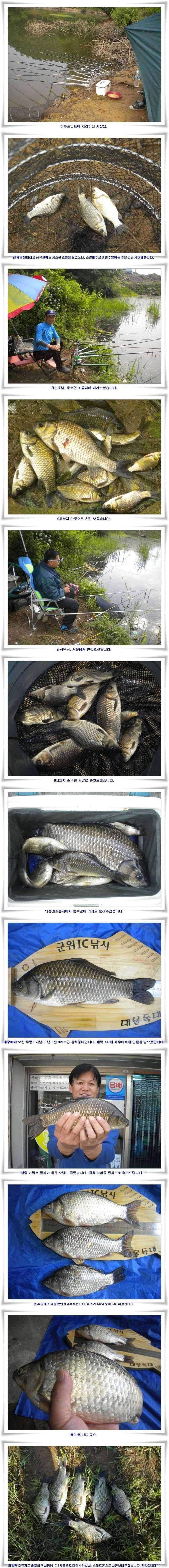 저수지상황과 위천조황 (조황조행기 - 특파원조황)
