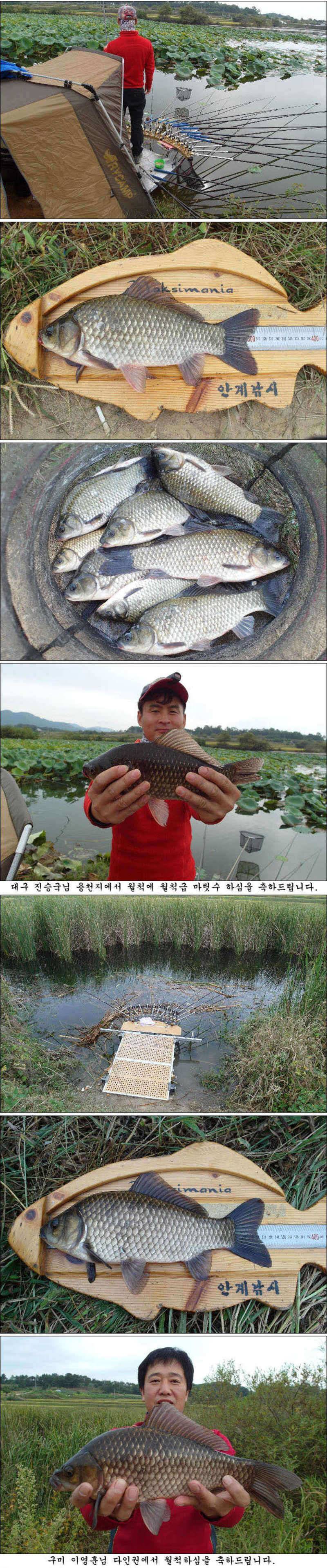 풍성한 가을과 조황 (조황조행기 - 특파원조황)