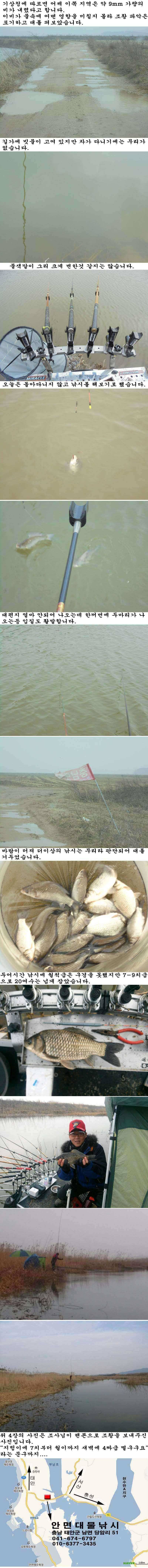 222 부남호 비온뒤의 조황 (조황조행기 - 특파원조황)