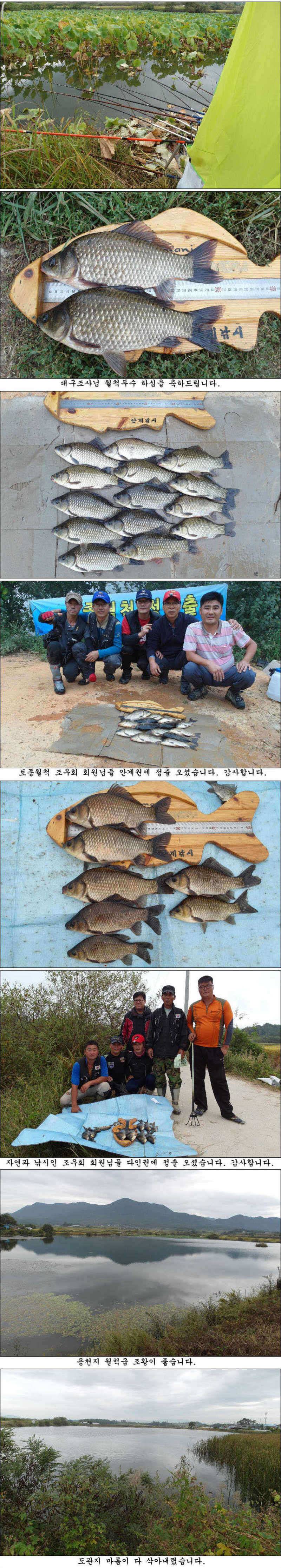 풍성한 가을과 조황 (조황조행기 - 특파원조황)
