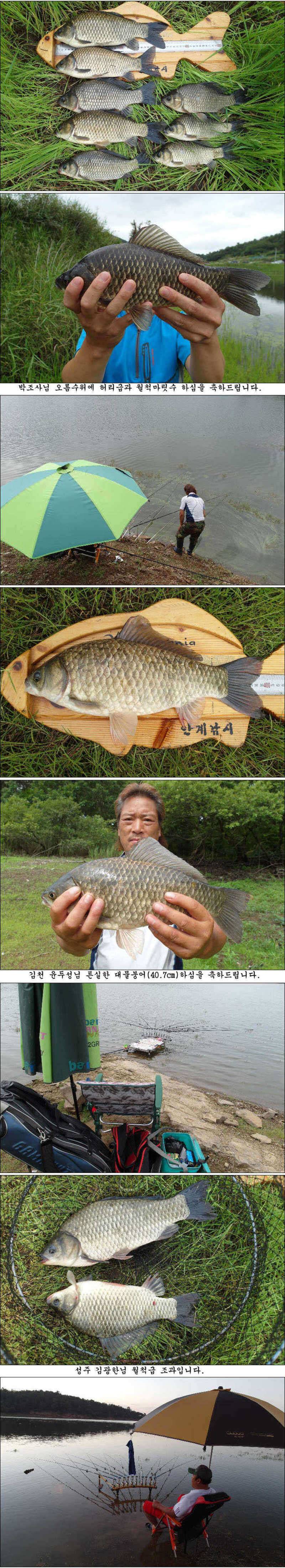 407cm402cm와 일부 새물오름수위 월척들 (조황조행기 - 특파원조황)