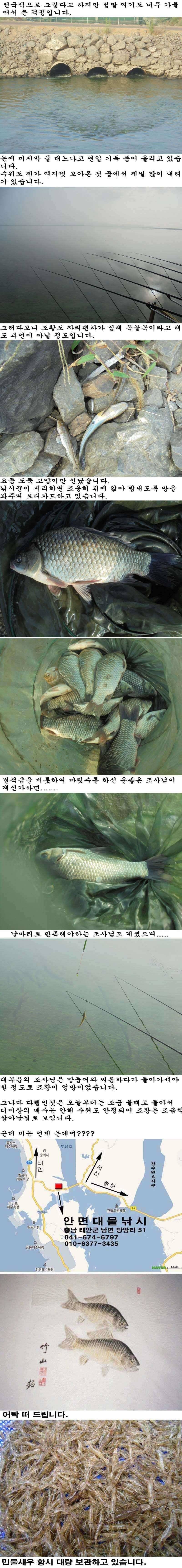 920 부남호 주말 조황 (조황조행기 - 특파원조황)