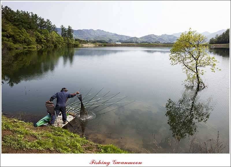 충주괴산권 조황 (조황조행기 - 특파원조황)