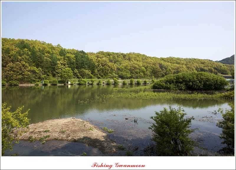 충주괴산권 조황 (조황조행기 - 특파원조황)