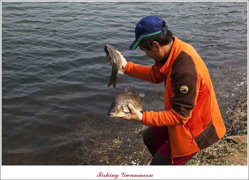 충주권 노지화곡지칠성지 대물들 (조황조행기 - 특파원조황)