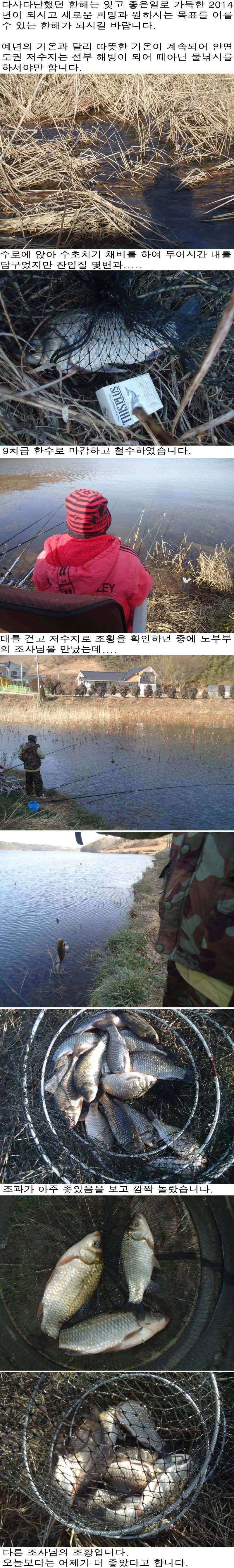 11 안면도권 저수지 및 수로 철 잊은 물낚시 조황 (조황조행기 - 특파원조황)