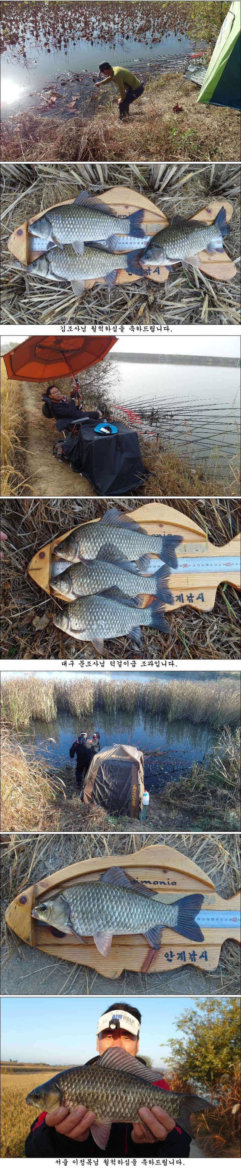10월 마지막주 조황소식 입니다 (조황조행기 - 특파원조황)