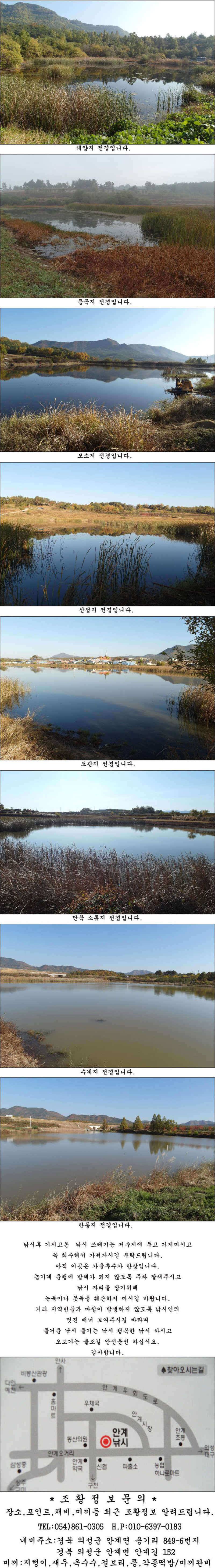 10월 마지막주 조황소식 입니다 (조황조행기 - 특파원조황)