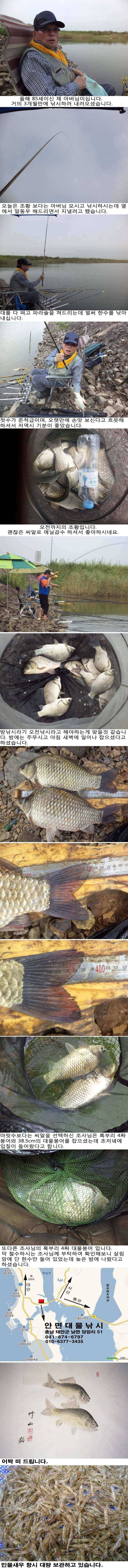 85 부남호 아버님과의 동행 조황 (조황조행기 - 특파원조황)