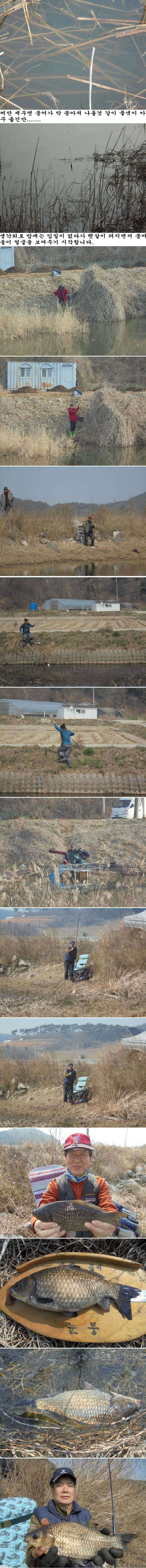 319 안면도권 저수지 및 수로 조황 (조황조행기 - 특파원조황)