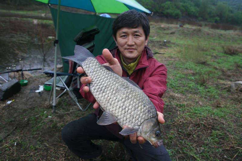 충주호 노지서 나온 4짜급 대물붕어 (조황조행기 - 특파원조황)