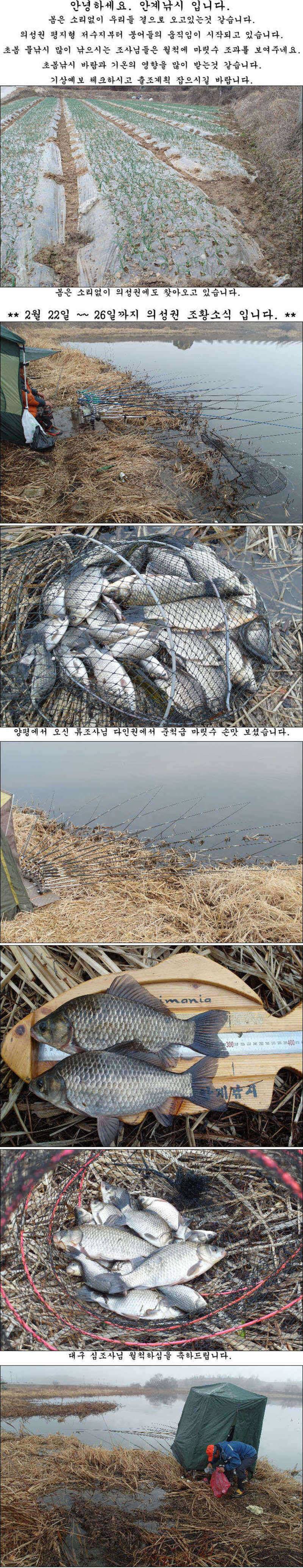 의성권 평지형 저수지부터 시작되네요 (조황조행기 - 특파원조황)
