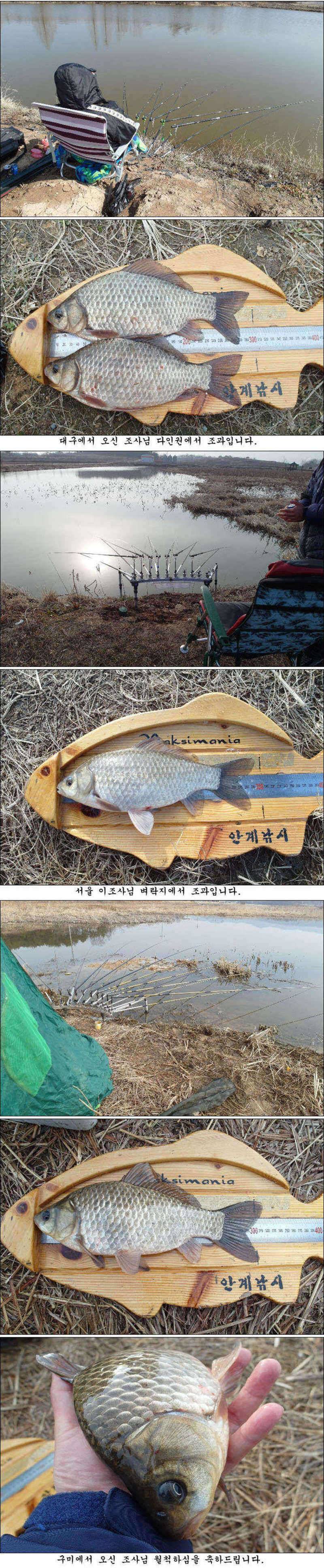 의성권 평지형 저수지부터 시작되네요 (조황조행기 - 특파원조황)