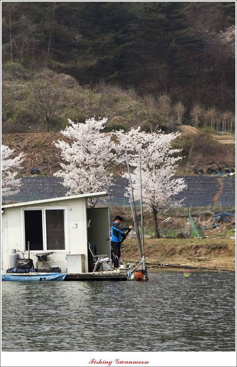 충주권 노지화곡지칠성지 대물들 (조황조행기 - 특파원조황)