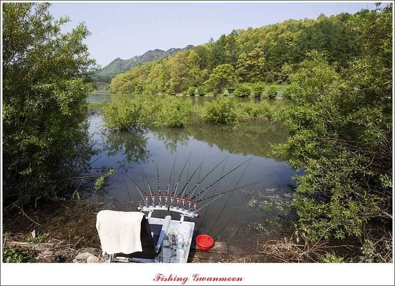 충주괴산권 조황 (조황조행기 - 특파원조황)