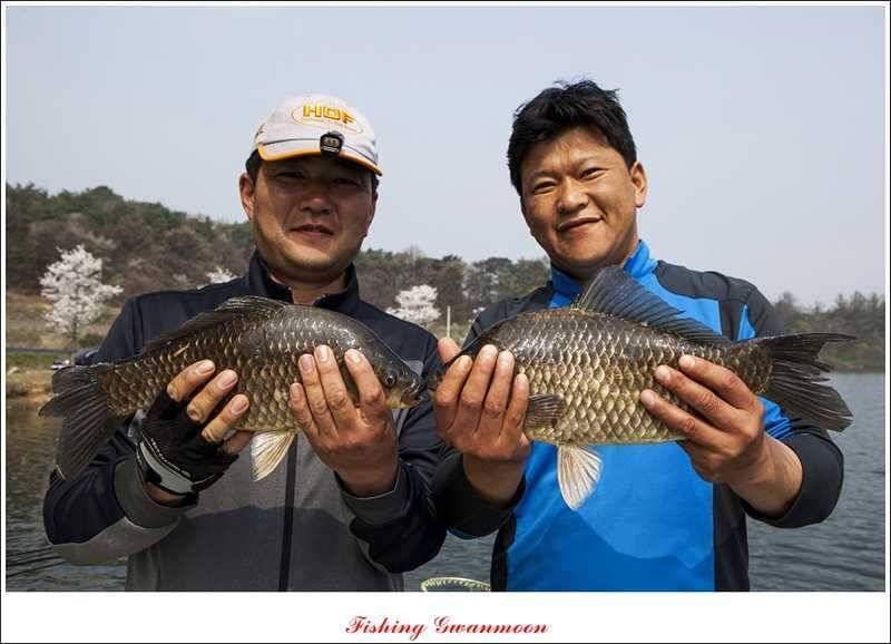 충주권 노지화곡지칠성지 대물들 (조황조행기 - 특파원조황)