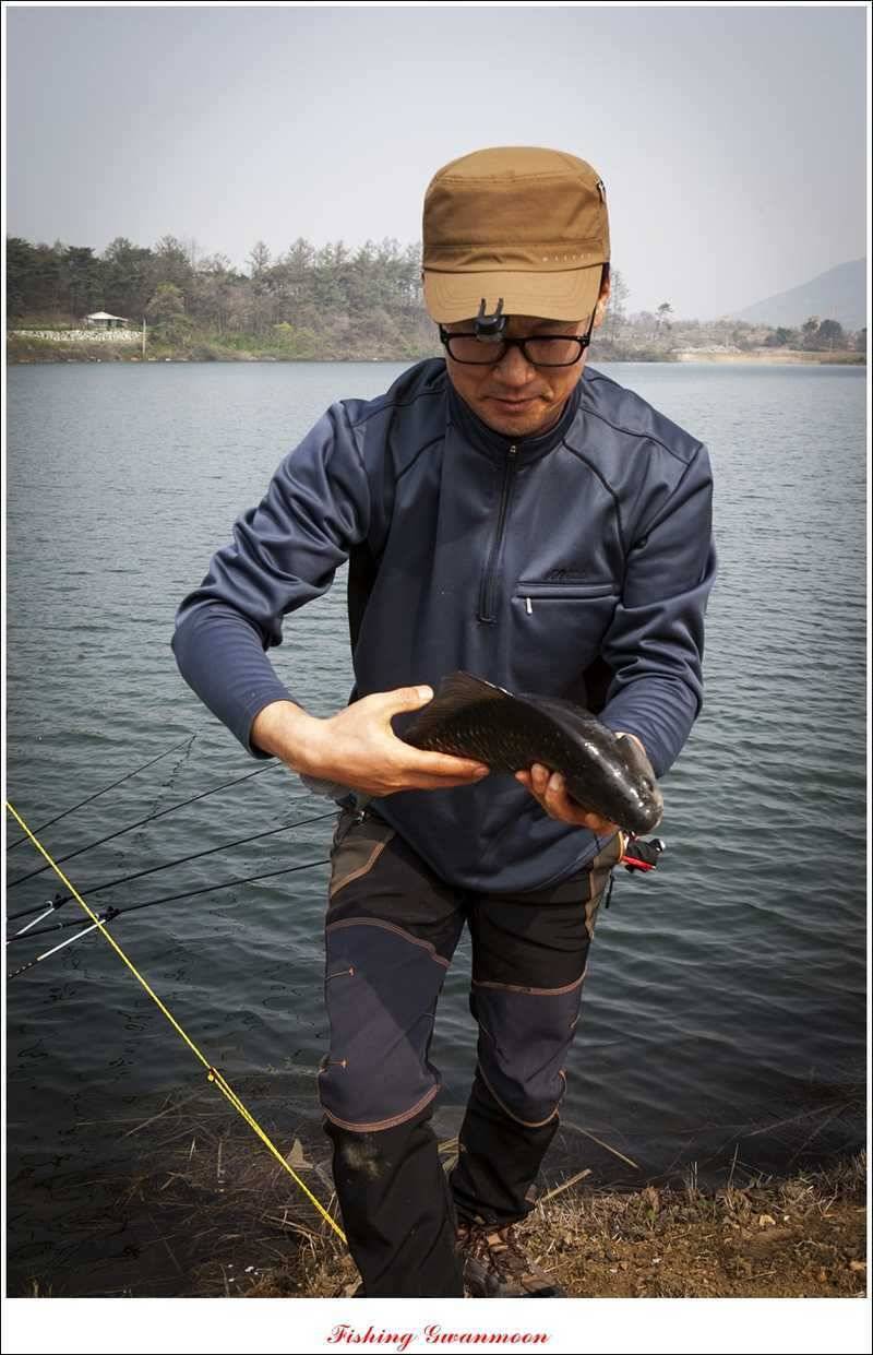 충주권 노지화곡지칠성지 대물들 (조황조행기 - 특파원조황)