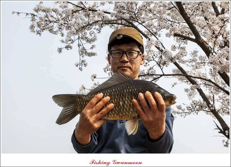 충주권 노지화곡지칠성지 대물들 (조황조행기 - 특파원조황)