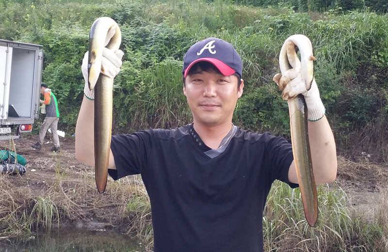 하천 월척붕어 후산 서운낚시터 장어소식 (조황조행기 - 특파원조황)