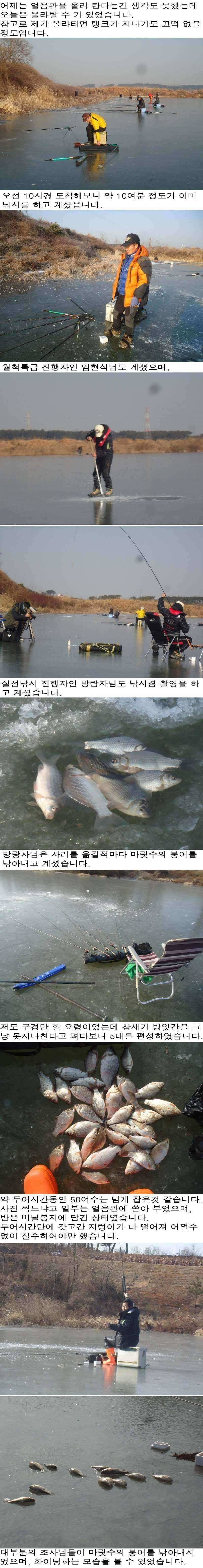 115 안면도권 저수지 얼음낚시 관고기 조황 (조황조행기 - 특파원조황)