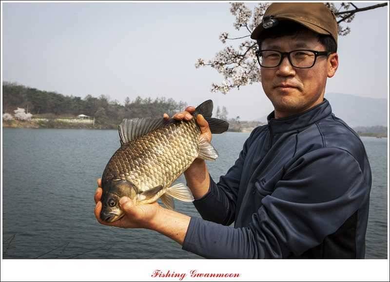 충주권 노지화곡지칠성지 대물들 (조황조행기 - 특파원조황)