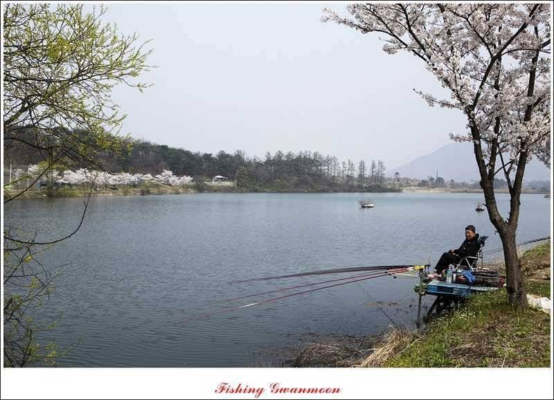 충주권 노지화곡지칠성지 대물들 (조황조행기 - 특파원조황)