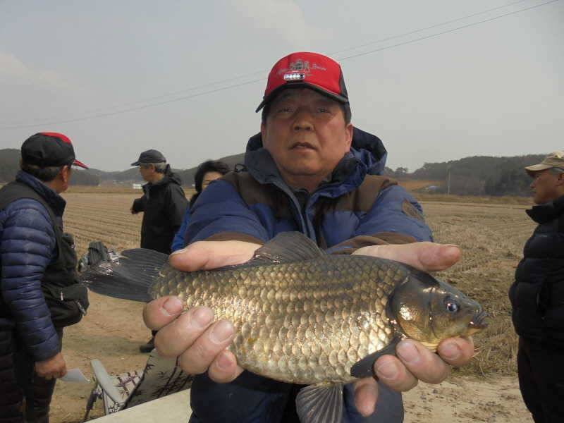 326 안면도권 저수지 및 수로 주말 조황 (조황조행기 - 특파원조황)