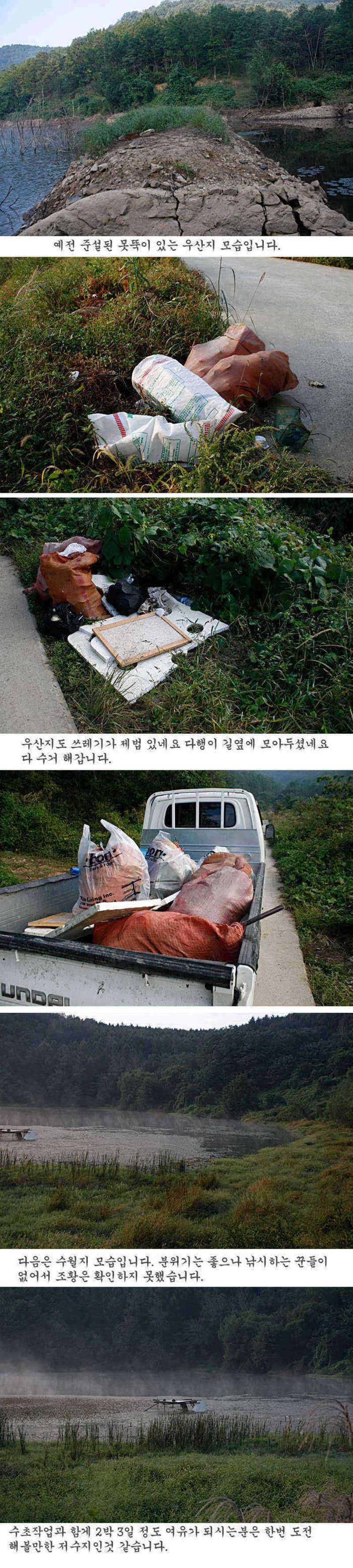청도권 주중 조황 정보 (조황조행기 - 특파원조황)