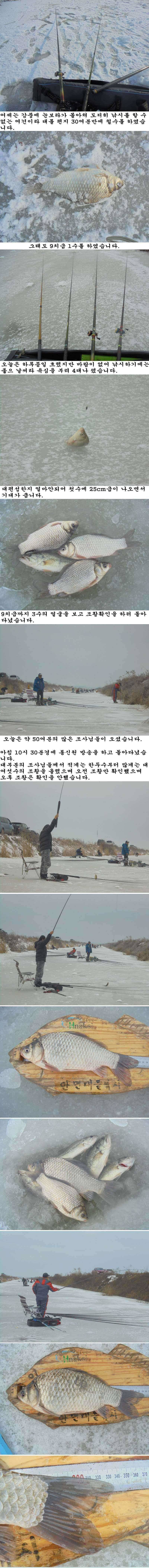 1223 부남호 얼음낚시 조황 (조황조행기 - 특파원조황)