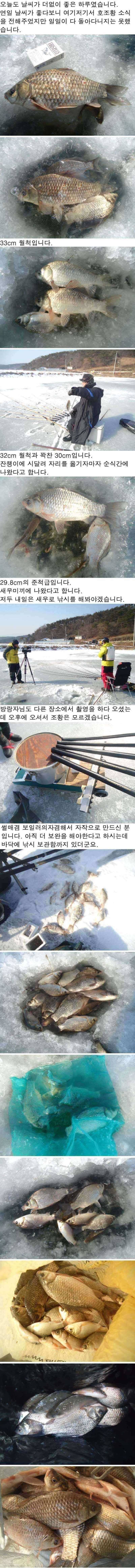 18 안면도권 저수지 및 수로 얼음낚시 조황 (조황조행기 - 특파원조황)